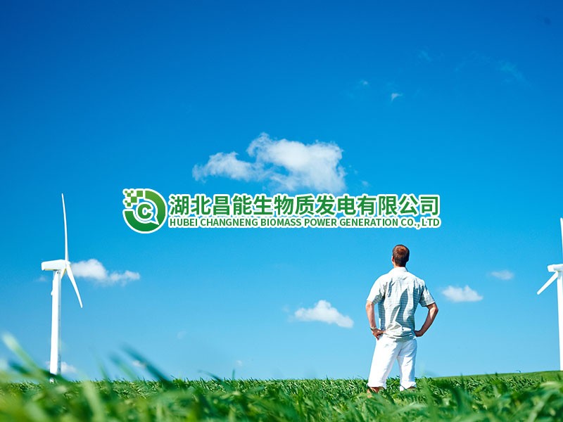 湖北昌能生物質發電有限公司